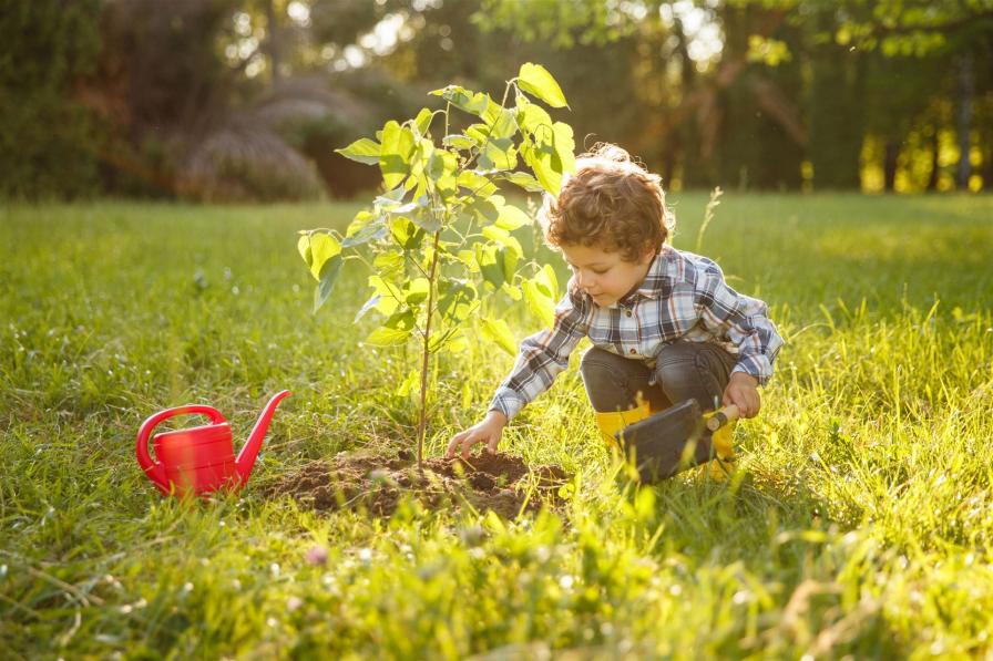 Junge pflanzt einen kleinen Baum Kindergarten im Haus der Kinder im Spessart